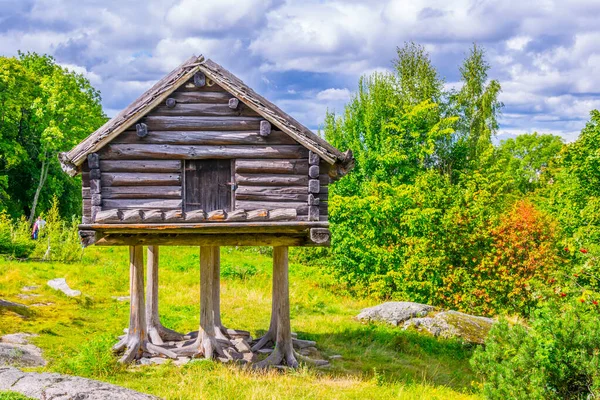 Ayı, kahverengi, yavrular, boz ayı, oyuncu, oyun, skansen, stokholm, hayvanat bahçesi, hayvan, davranış, tutsak, tutsaklık, djurgarden adası, memeli, etobur, etobur, tırmanış, gündüz, avrupa, fauna, doğa, dışarıda, bitki, poke, ağaç, gövde, iki, ursidae, u