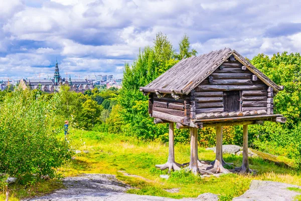 Ayı, kahverengi, yavrular, boz ayı, oyuncu, oyun, skansen, stokholm, hayvanat bahçesi, hayvan, davranış, tutsak, tutsaklık, djurgarden adası, memeli, etobur, etobur, tırmanış, gündüz, avrupa, fauna, doğa, dışarıda, bitki, poke, ağaç, gövde, iki, ursidae, u