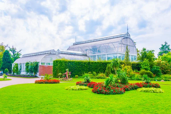 İsveç 'teki Göteborg Bahçe Topluluğu' ndaki palmiye serası.
