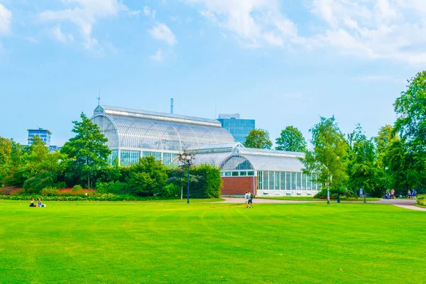 Palm Greenhouse Garden Society Gothenburg Swede — Foto de Stock