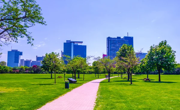 Viyana Uluslararası Merkezi 'nin ufuk çizgisi yakınlardaki bir parktan