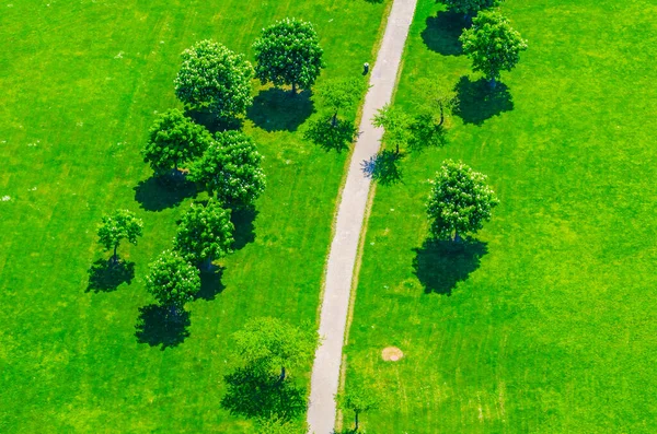 Aerial View Green Alley Narrow Path Center — Stockfoto