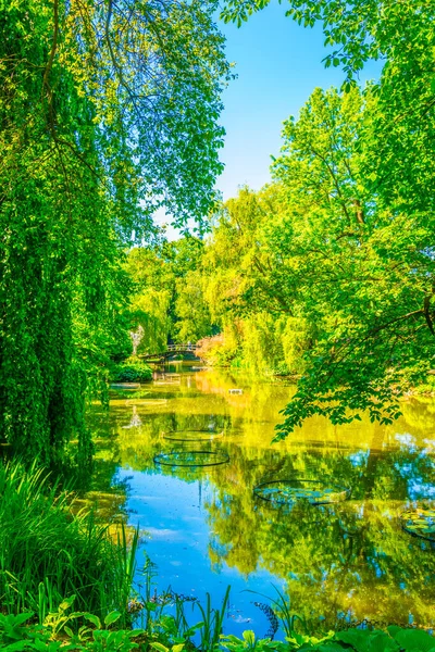 Wroclaw Üniversitesi, Polan Botanik Bahçesi 'nin içinde süslü bir göl.