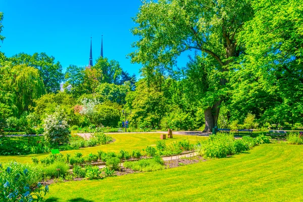 Botaniska Trädgården Vid Universitetet Wroclaw Polan — Stockfoto