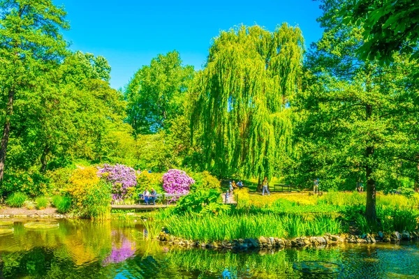 Wroclaw Üniversitesi, Polan Botanik Bahçesi 'nin içinde süslü bir göl.