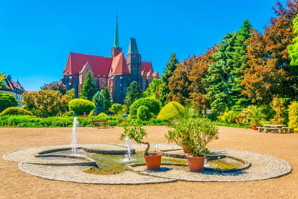 Church Holy Cross Bartholomew Viewed University Botanical Garden Wroclaw Polan — Stock Fotó