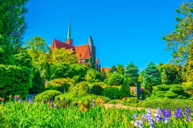 Kutsal Haç Kilisesi ve St. Bartholomew Wroclaw, Polan 'daki üniversite botanik bahçesinden izlendi.