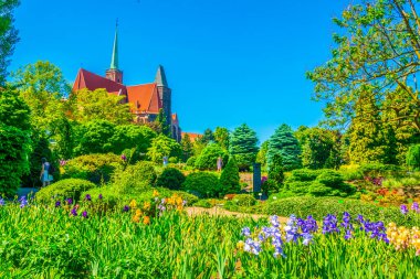 Kutsal Haç Kilisesi ve St. Bartholomew Wroclaw, Polan 'daki üniversite botanik bahçesinden izlendi.
