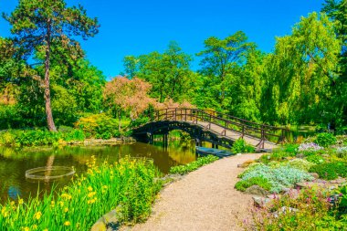 Wroclaw Üniversitesi, Polan Botanik Bahçesi 'nin içinde süslü bir göl.