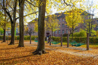 Orta Zürih 'teki Josefswiese parkının sonbaharda manzarası