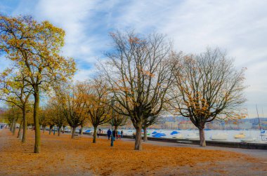 Sonbaharda Zürih Gölü 'nün yanında gezinti yapmak.