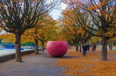 Sonbaharda Zürih Gölü 'nün yanında gezinti yapmak.