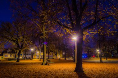 İsviçre şehri Zuric 'in merkezindeki Lindenhof Parkı