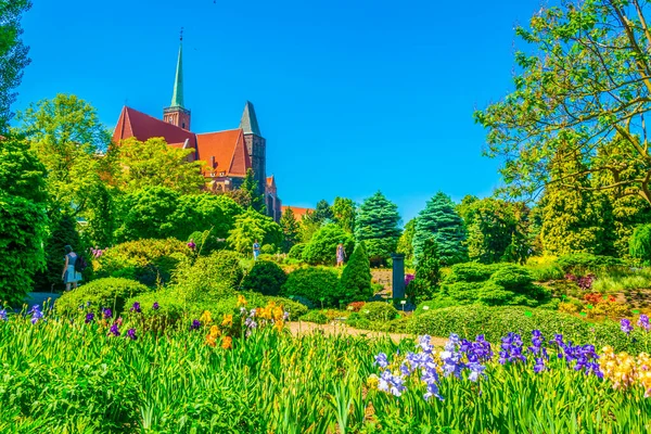 ポーランドのヴロツワフにある大学植物園から見た聖バーソロミュー教会 — ストック写真