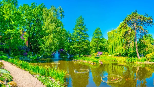 Wroclaw Üniversitesi, Polan Botanik Bahçesi 'nin içinde süslü bir göl.