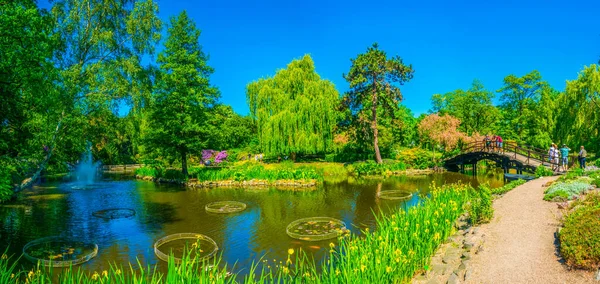 Wroclaw Üniversitesi, Polan Botanik Bahçesi 'nin içinde süslü bir göl.