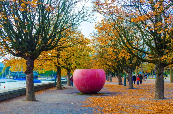 Sonbaharda Zürih Gölü 'nün yanında gezinti yapmak.
