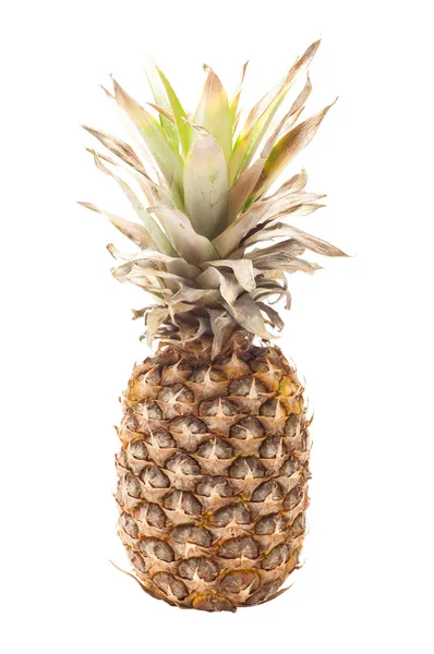 Één ananas geïsoleerd op wit — Stockfoto