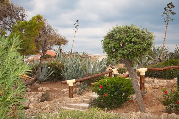 Hermoso jardín — Foto de Stock