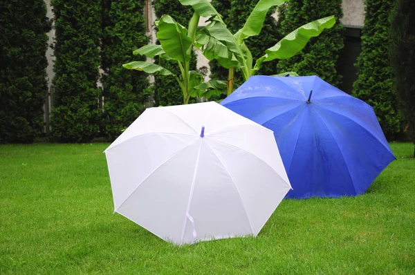 Umbrellas — Stock Photo, Image