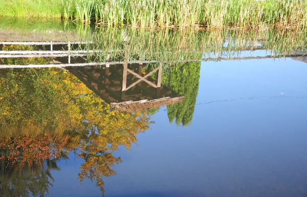 Landschap in het lake — Stockfoto