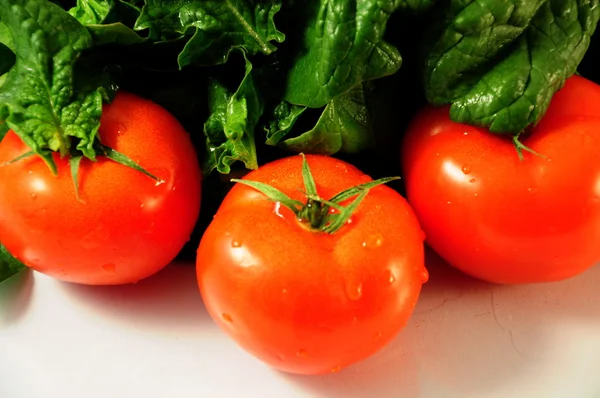 Tomatoes — Stock Photo, Image