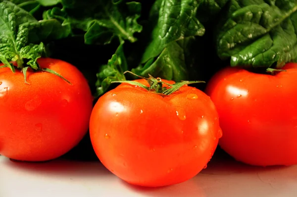 Tomatoes — Stock Photo, Image