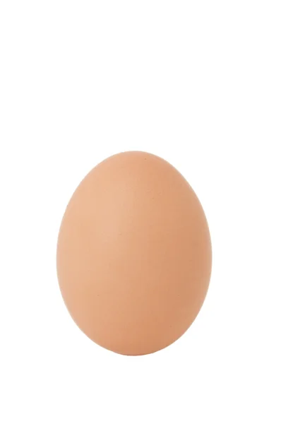 Fechar de ovo em — Fotografia de Stock
