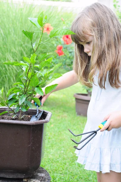 Girl planting flowers — Stock Photo, Image