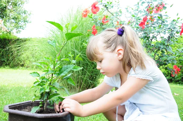 Mädchen pflanzt Blumen — Stockfoto