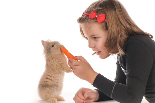 Красивая девушка кормит кролика — стоковое фото