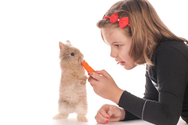 Chica bonita alimentando conejo — Foto de Stock