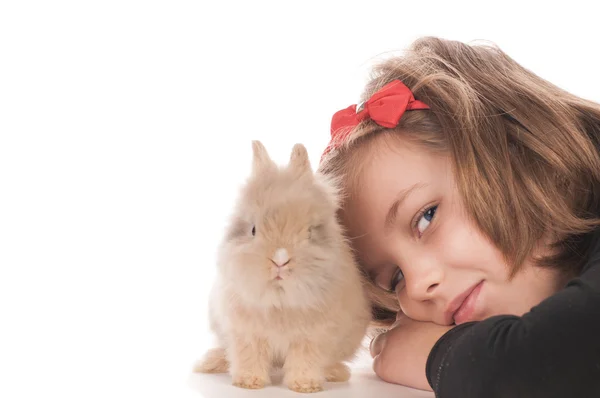 Kleines Mädchen mit entzückendem Kaninchen — Stockfoto