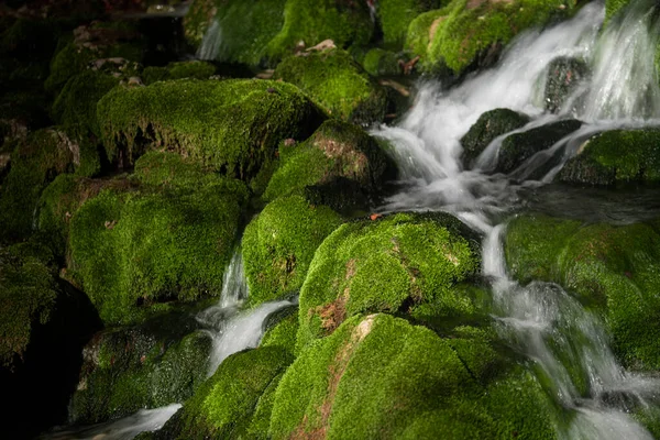 Pequeña Cascada Cleam Montaña Río — Foto de Stock