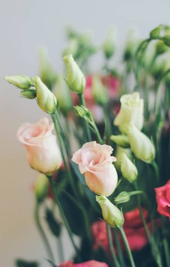 Vazoda güzel bir buket Eustoma