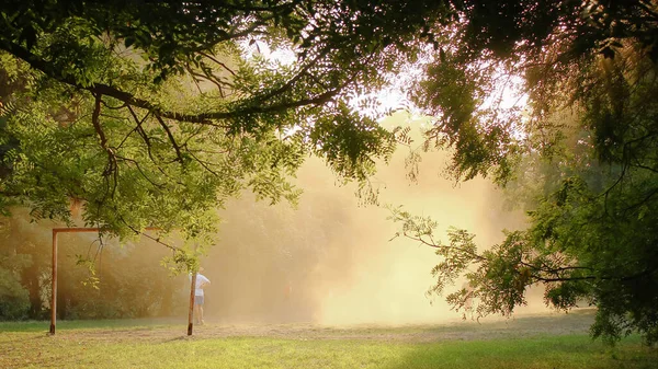 Parkta güneşli bir yaz günü