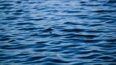 Lacivert ipeksi yumuşak su