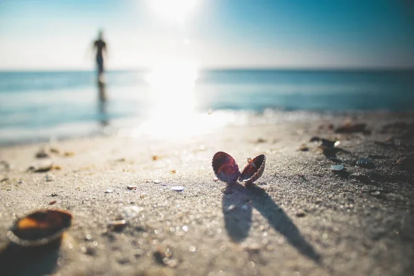 Sahilde bir çift küçük taş.