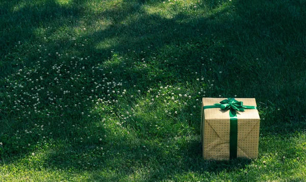 Yeşil kurdeleli hediye paketi.