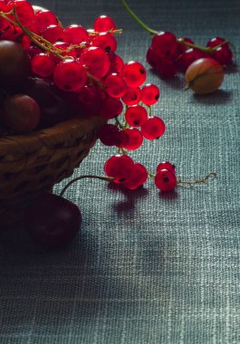 Gri arka planda taze olgun meyveler.