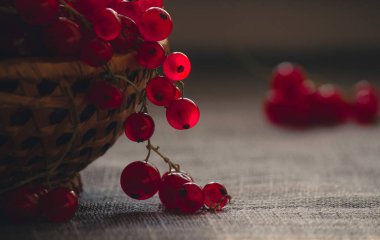 Masada kırmızı böğürtlen