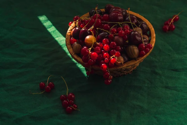 Olgun böğürtlenler ve yapraklarla dolu bir hayat