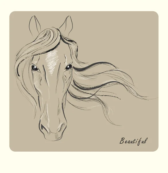 Face de cheval — Image vectorielle