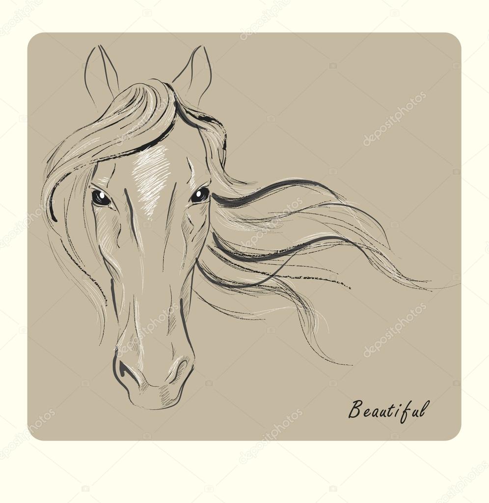 Yelena Shabrova ~ A sketch a day: Arabian horse head ~ graphite pencil on  drawing paper, 4″ x 6″ | Yelena Shabrova Art
