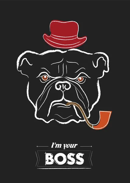 siyah arka plan üzerinde Bulldog kafa