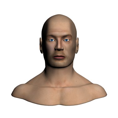 Human head - Frontal view clipart