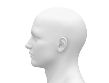 Blank White Male Head - Side view clipart