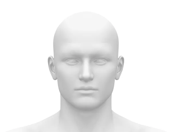 Mannequin mannequin head Stock Photos, Royalty Free Mannequin mannequin