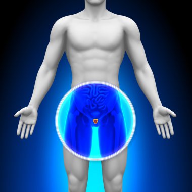 tıbbi x-ray tarama - prostat