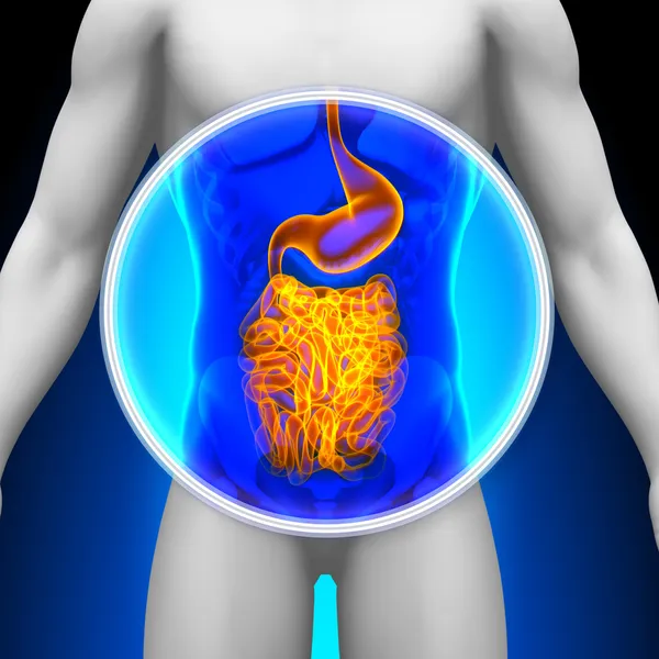 Medical X-Ray Scan - Guts — Stock Photo, Image